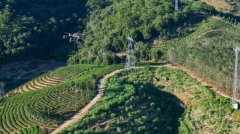 扶植者们就碰到了